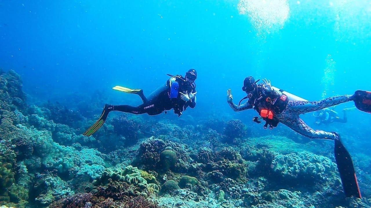 La Tortue Diving Resort Dauin Zewnętrze zdjęcie